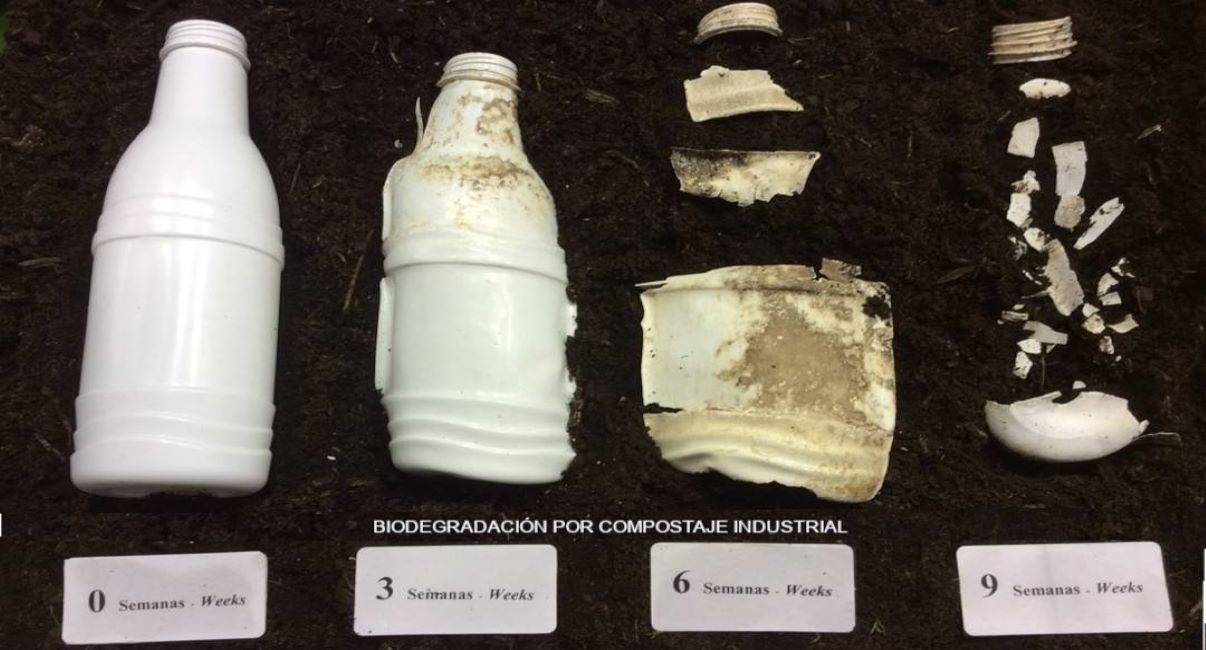 proceso de biodegradación