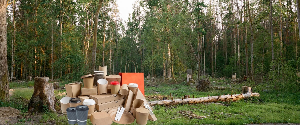 tala de bosques para producir papel
